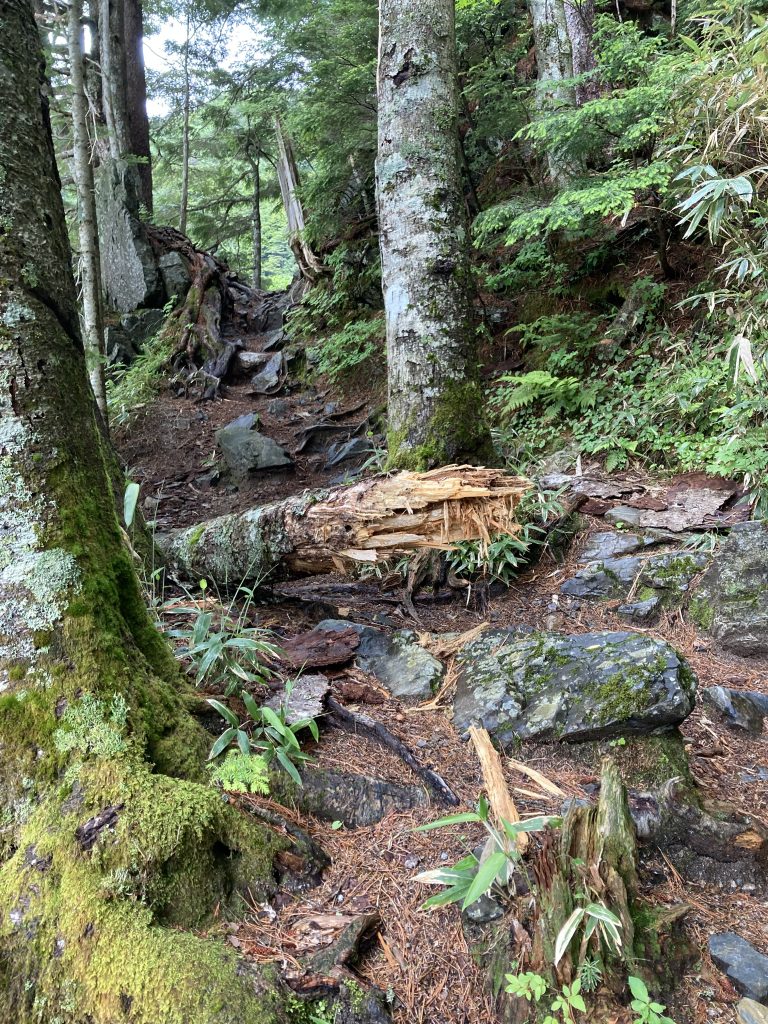 槍ヶ岳登山1日目2